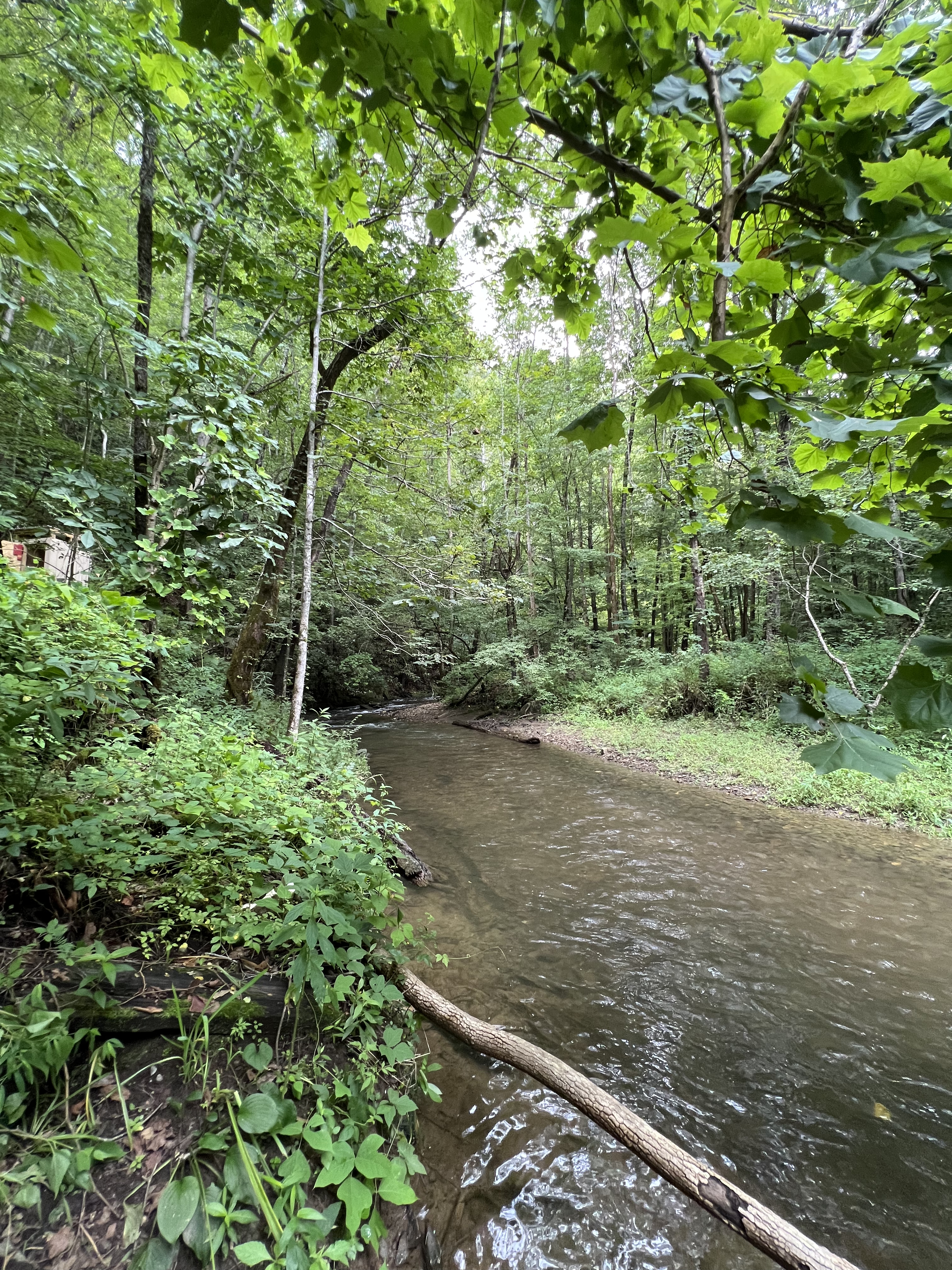 ./2023/11 - Asheville/IMG_9846.jpg